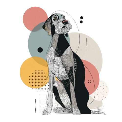 German Wirehaired Pointer
