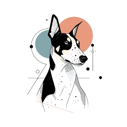 Beauceron