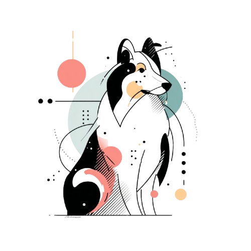 Collie