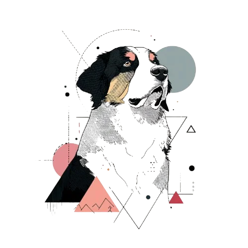 Greater Swiss Mountain Dog