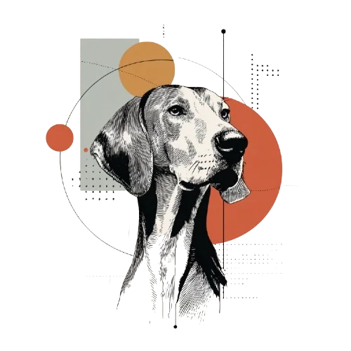 Rhodesian Ridgeback