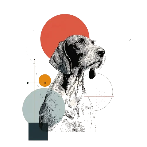 Wirehaired Pointing Griffon