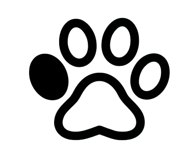 Paw part 1