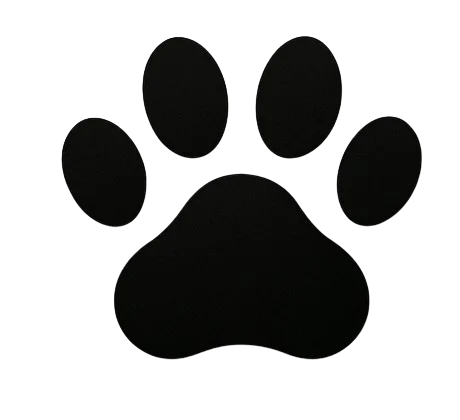 Dog Age Calculator Icon